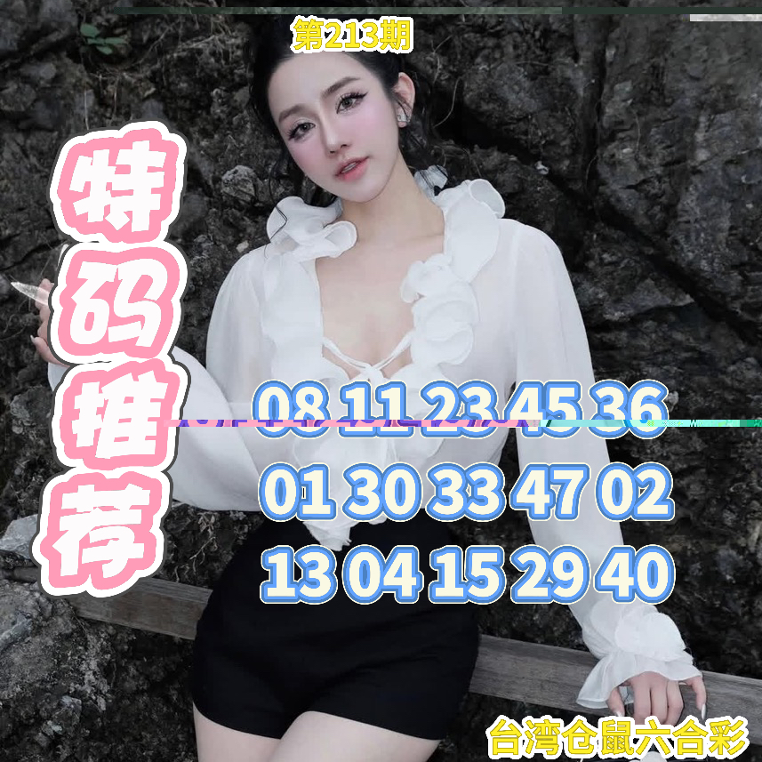 213期