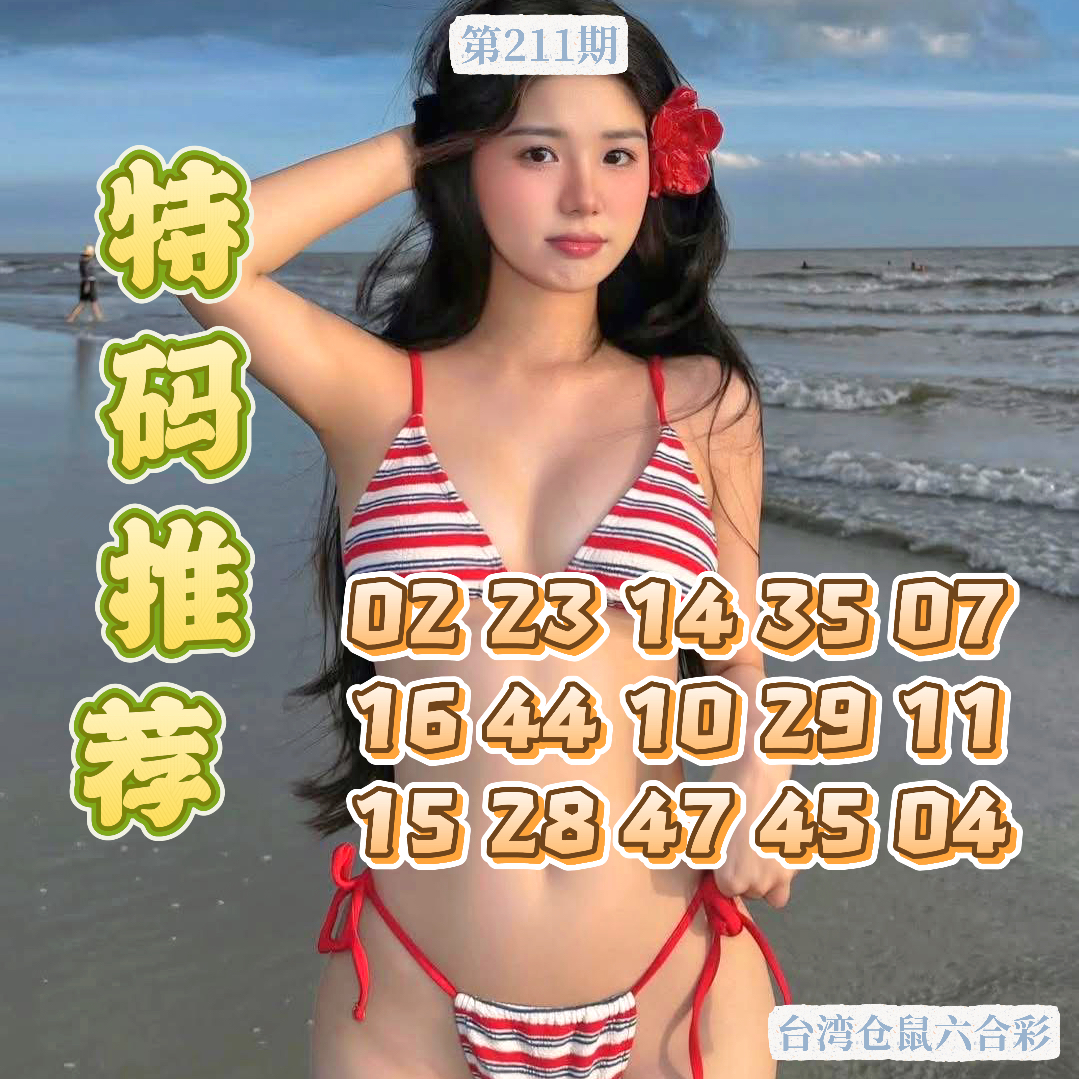 211期